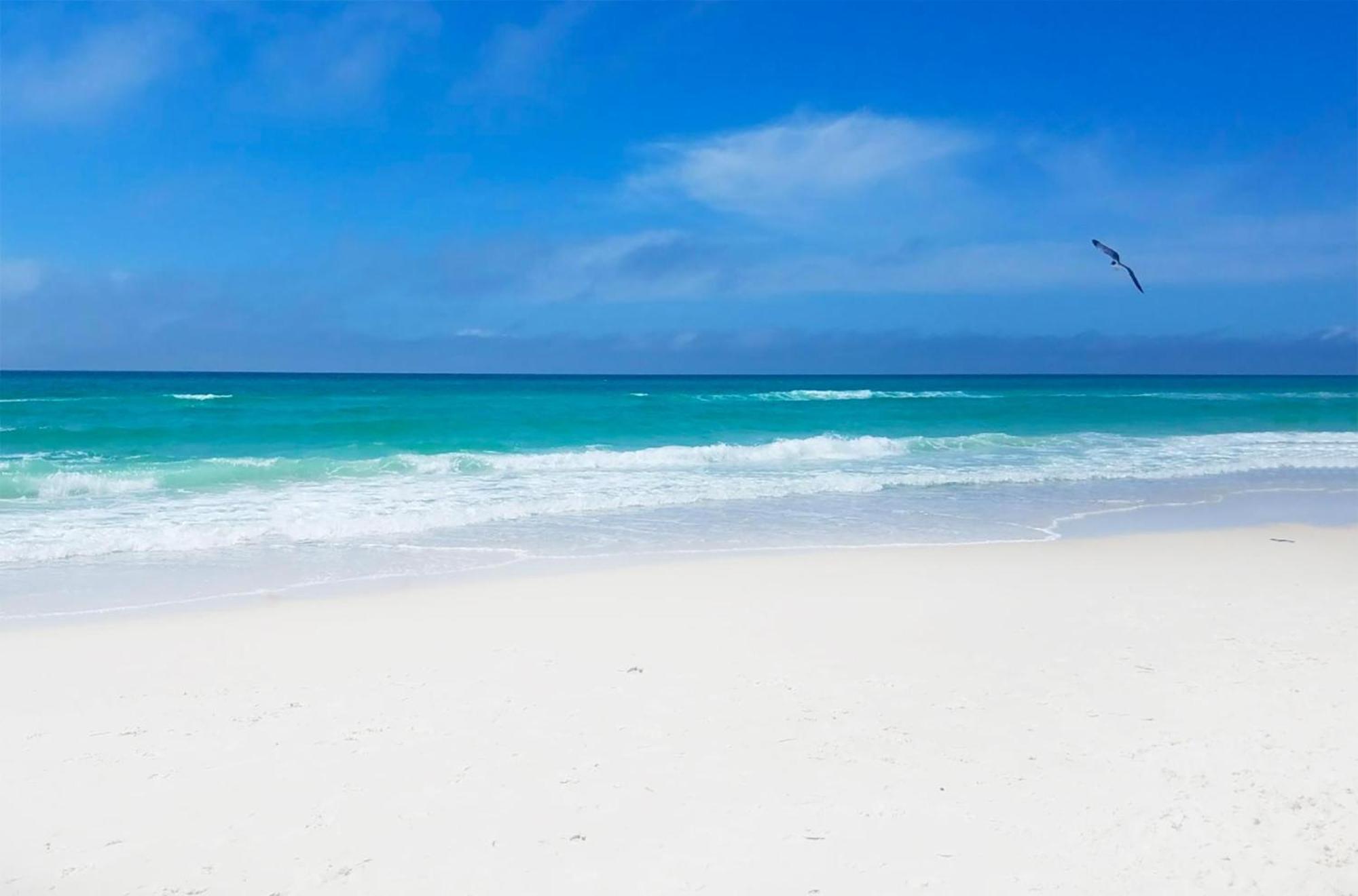 Horizon South 38B Villa Panama City Beach Luaran gambar